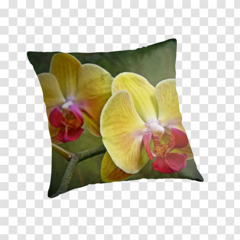 Moth Orchids Epiphyte Yellow Petal - Flower Bouquet - Orchid Transparent PNG