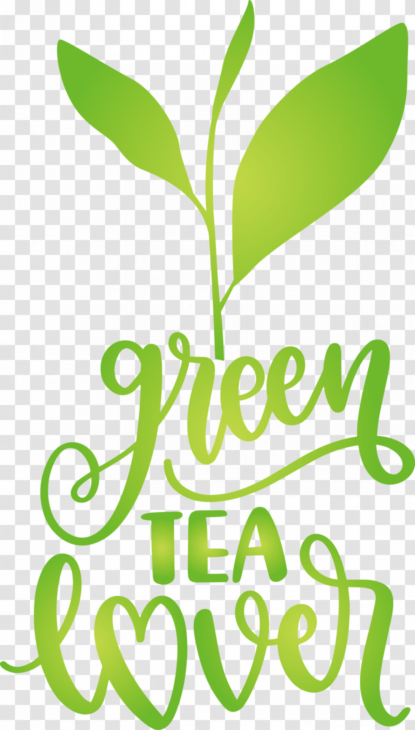 Green Tea Lover Tea Transparent PNG