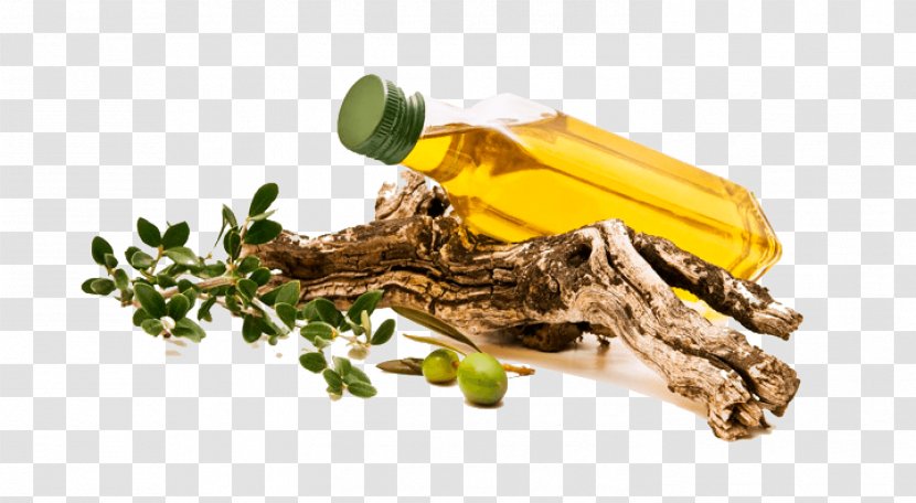 Italian Cuisine Greek Olive Oil - Herb - Producers Transparent PNG