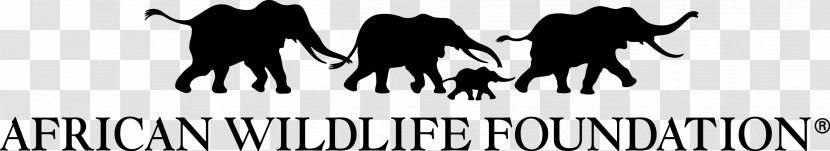Kenya African Wildlife Foundation World Wide Fund For Nature Non-profit Organisation - Africa Transparent PNG