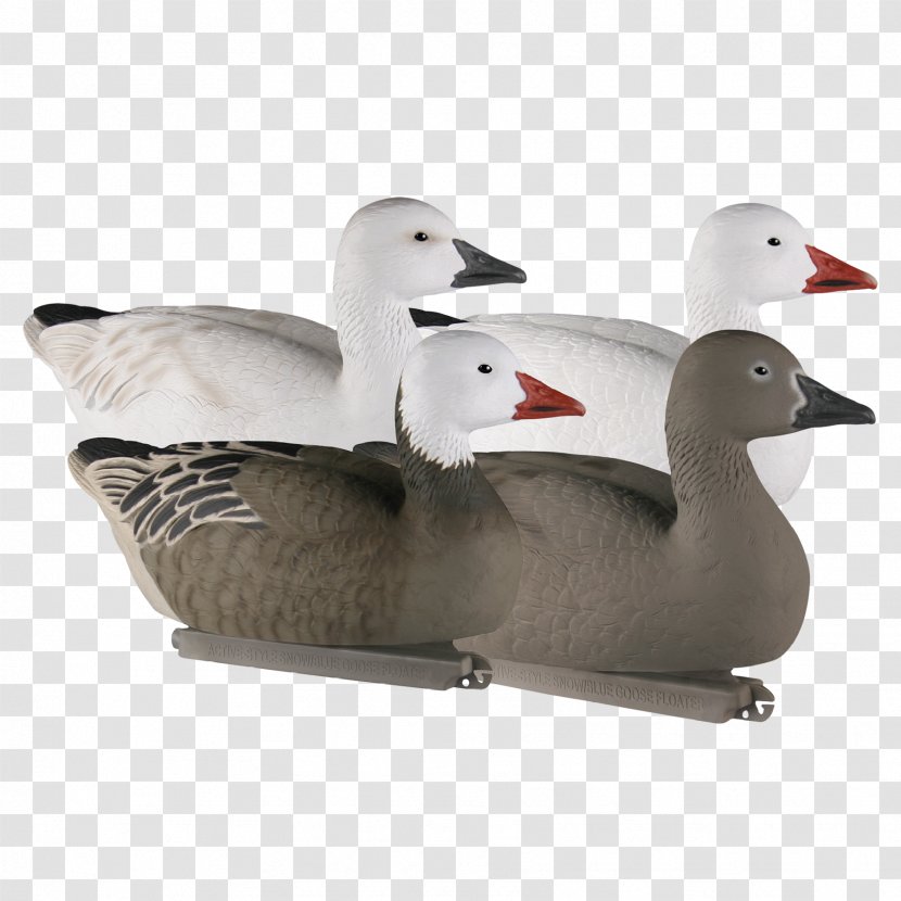 Duck Goose Product Design Transparent PNG