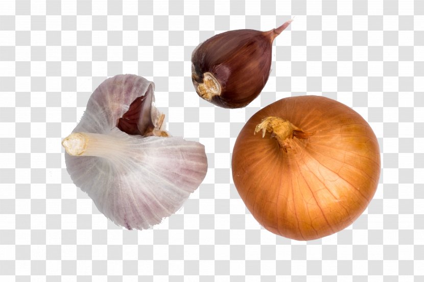 Yellow Onion Shallot Organic Food Garlic Spice Transparent PNG