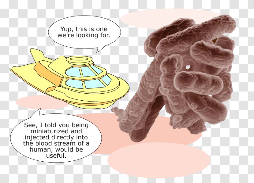 Thumb E. Coli Galactose-1-phosphate Uridylyltransferase Galactosemia International Genetically Engineered Machine - Galactose - Organisms Transparent PNG