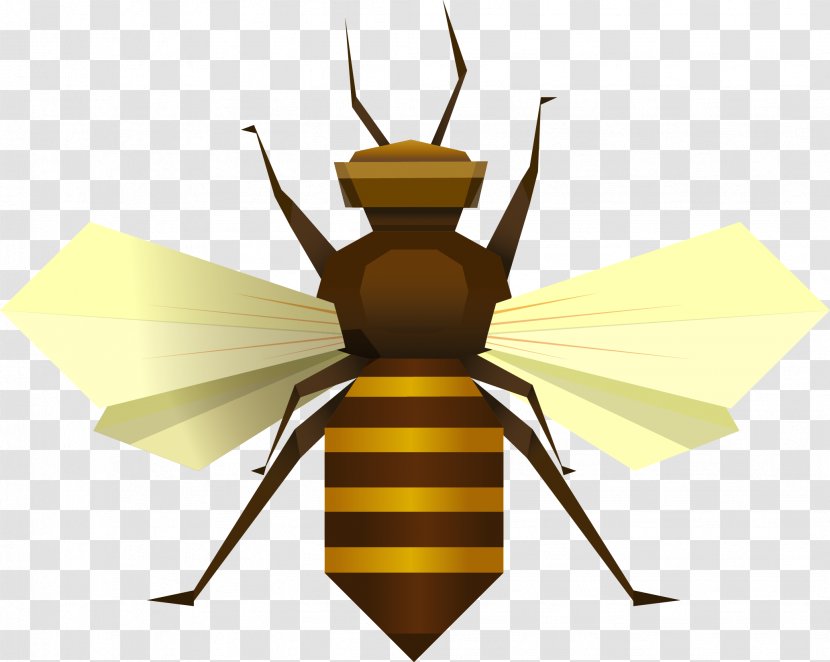 Bee Insect Apis Florea Clip Art Transparent PNG