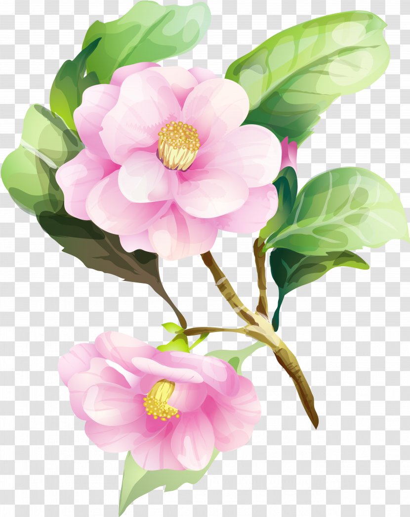 Flower Watercolor Painting Drawing Floral Design - Branch Transparent PNG