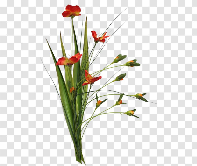 Floral Design Cut Flowers Plant Stem - Floristry - Flower Transparent PNG