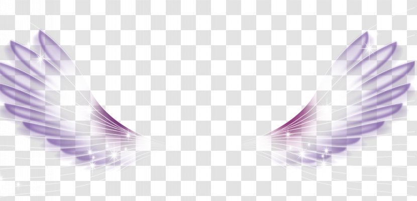 Wing White Feather - Purple - Wings Transparent PNG