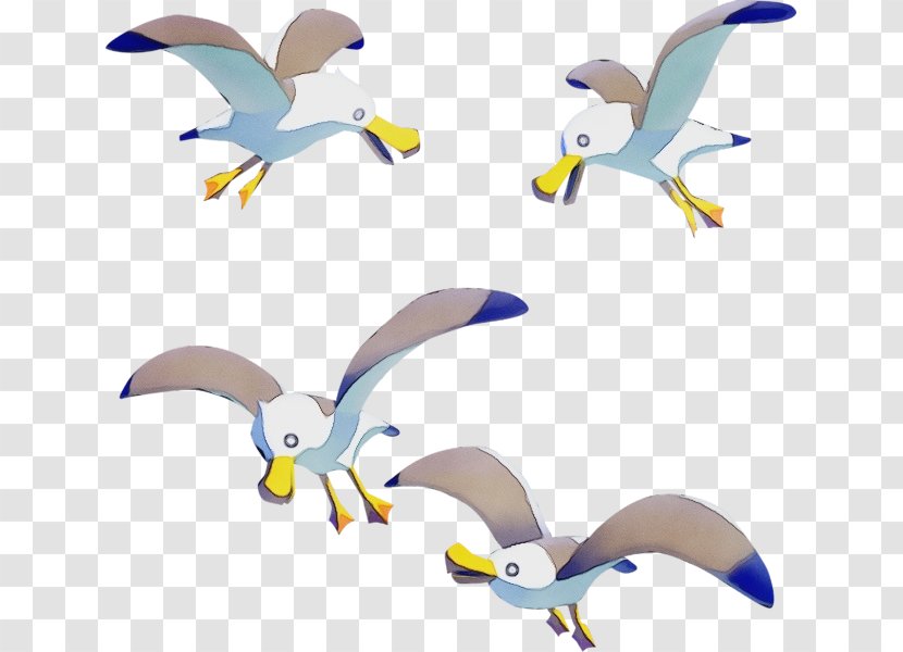 Watercolor Animal - Flightless Bird - Animation Great Blackbacked Gull Transparent PNG