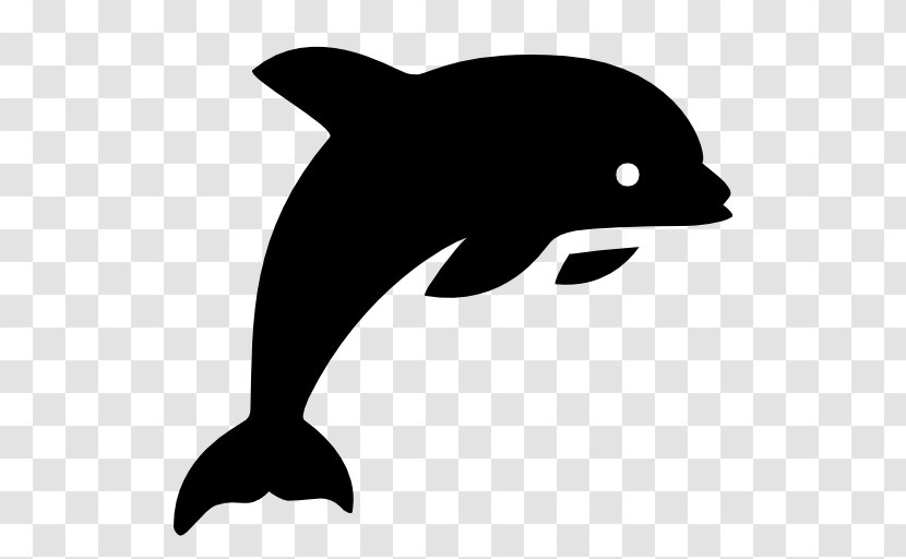 Dolphin Icon Design - Marine Mammal Transparent PNG