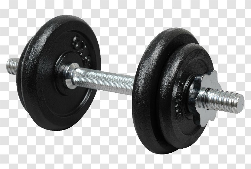 Dumbbell Barbell Exercise Machine Kettlebell Physical - Fitness Transparent PNG