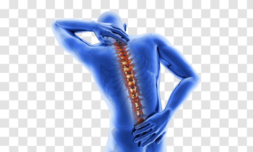 Spondylosis Ankylosing Spondylitis Pain Management Therapy Medical Diagnosis - Back - Human Transparent PNG