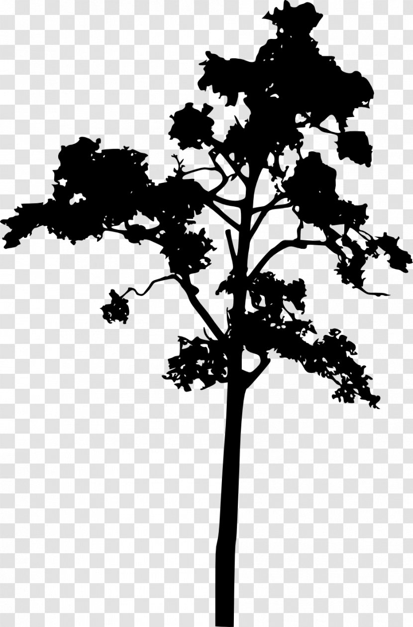 Tree Woody Plant Stem Silhouette - Flowering Transparent PNG