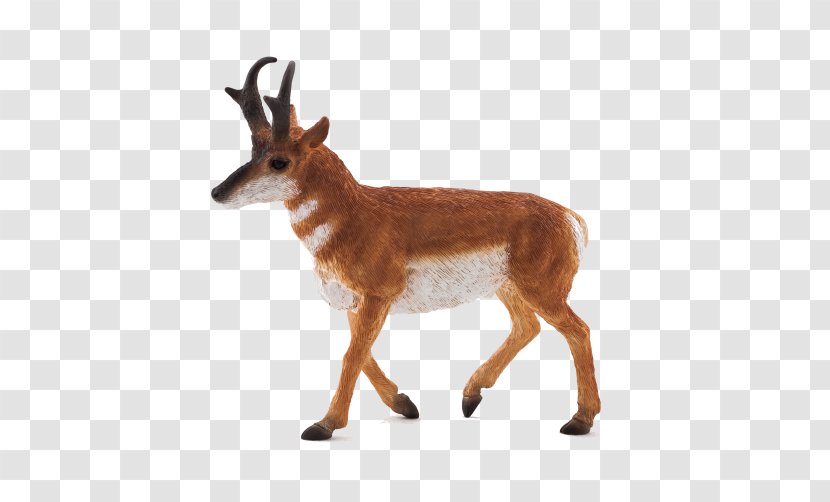 Pronghorn Antelope Impala Wildlife Gazelle - Animal Figurine Transparent PNG