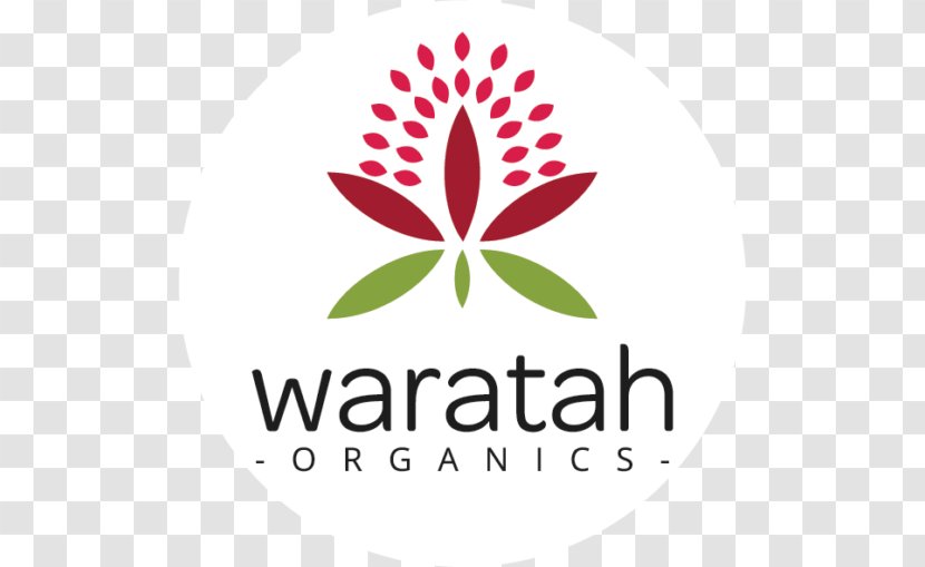Organic Food Waratah Organics Raw Foodism Cafe Juice - Leaf Transparent PNG