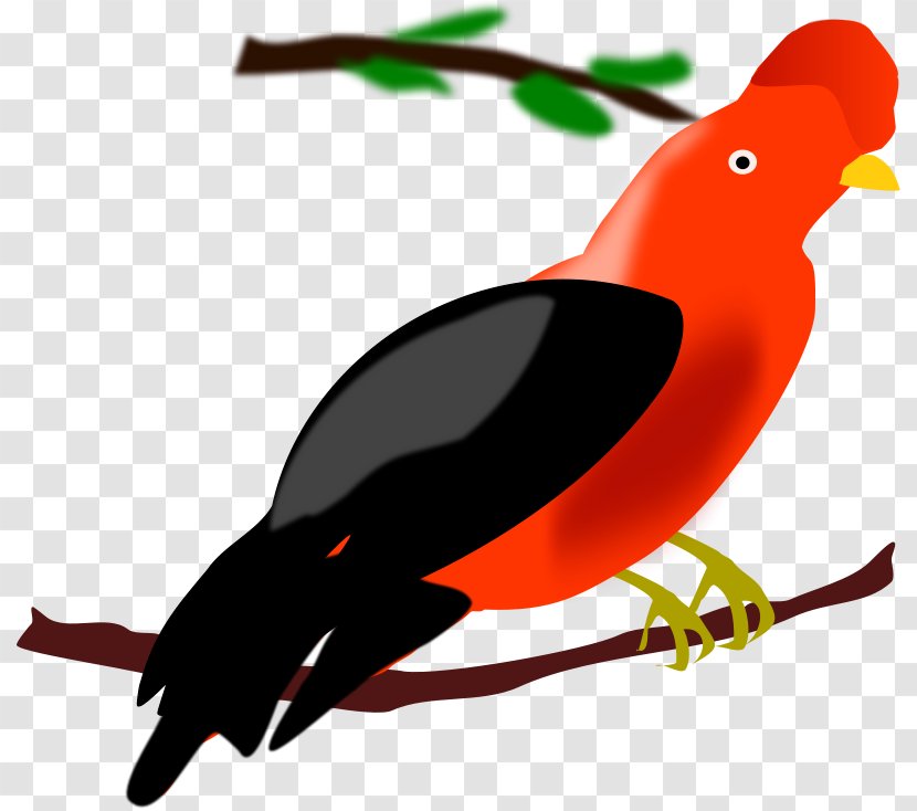 Peru Bird Chicken Illustration - Cliparts Transparent PNG