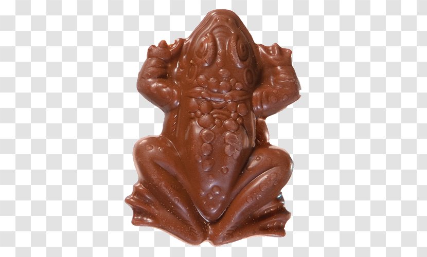 Frog Chocolate Gummi Candy The Wizarding World Of Harry Potter - Amphibian - Bar Transparent PNG