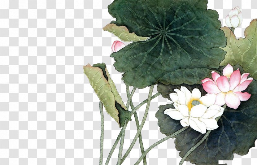 Vietnam Painting Nelumbo Nucifera - Floral Emblem - Lotus Leaf Transparent PNG