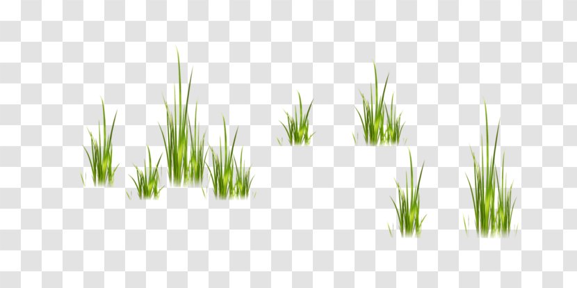 Paskha Easter Vetiver Sweet Grass Commodity - Liveinternet Transparent PNG