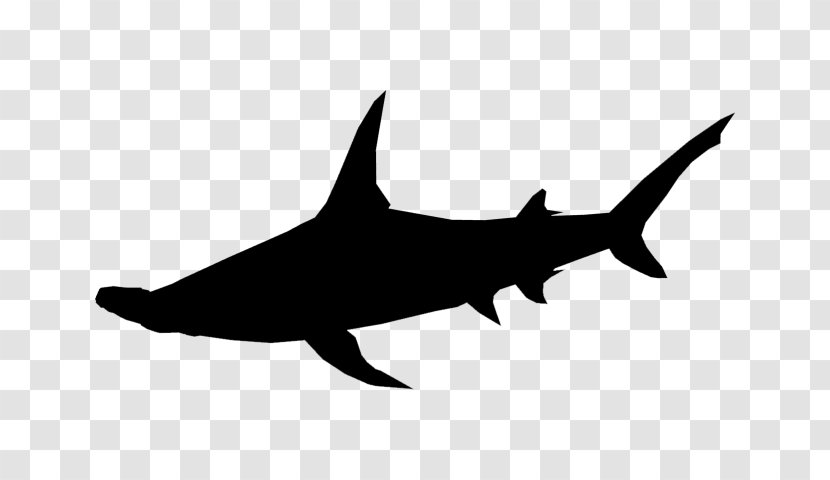 Shark Clip Art Fauna Marine Mammal - Fish - Carcharhiniformes Transparent PNG