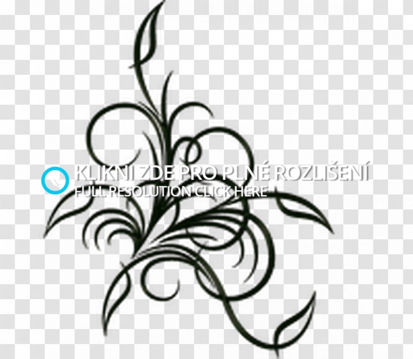 Vector Graphics Royalty-free Stock Photography Floral Design - Branch - Maska Icon Transparent PNG