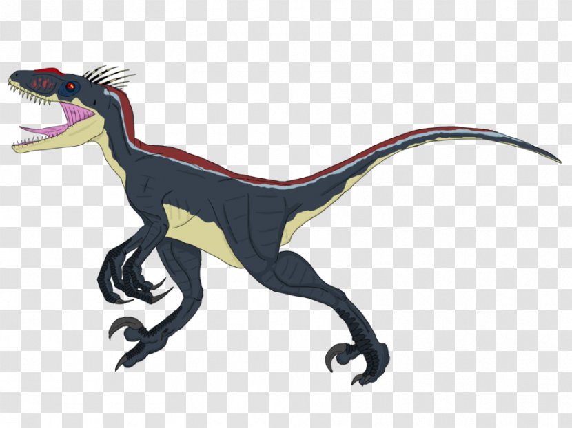 Velociraptor Deinonychus Jurassic Park Animal Transparent PNG