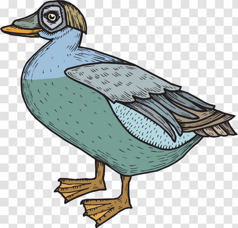 Bird Goose Duck Mallard Feather - Donald Transparent PNG