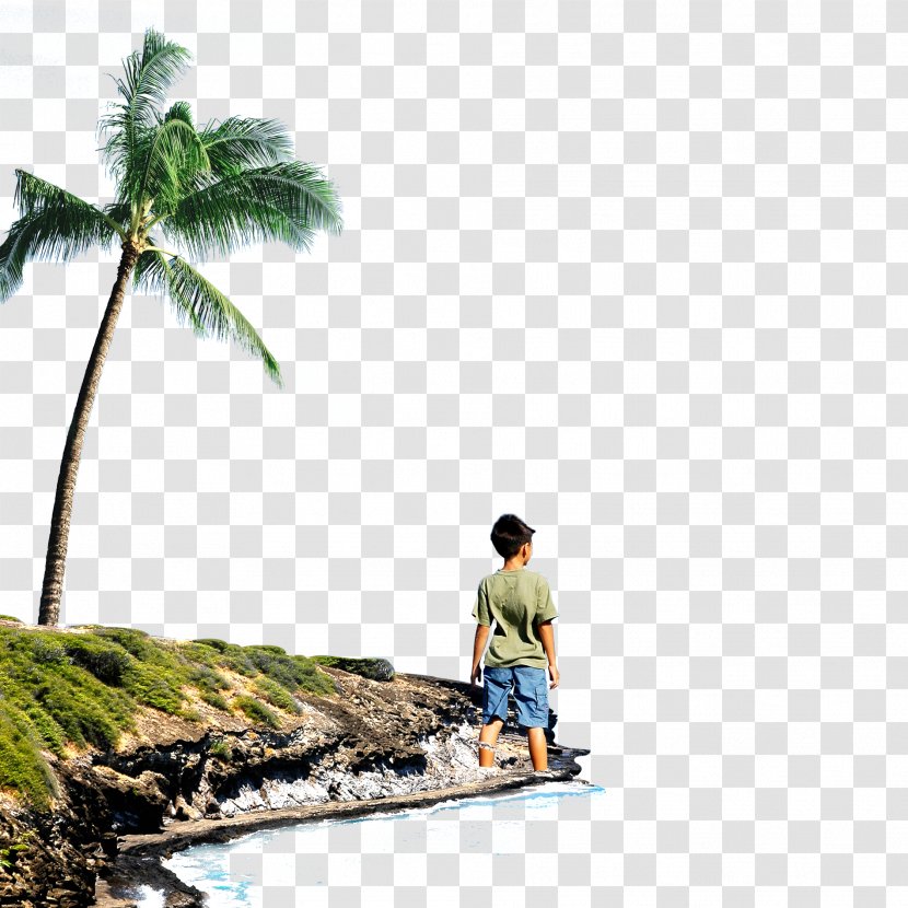 Beach Cliff - Leisure - Island Boy Transparent PNG