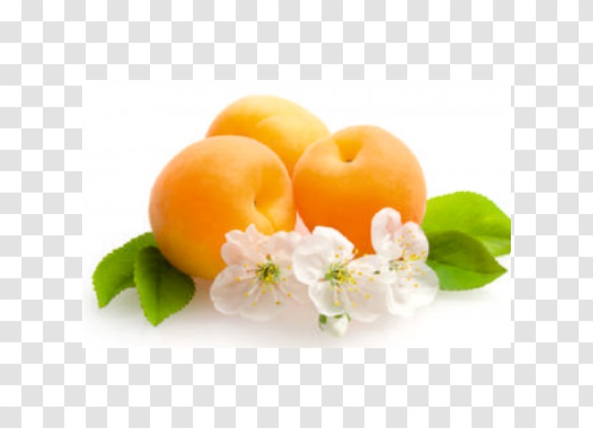 Fruit Flowering Plant Apricot Desktop Wallpaper - Apple - Flower Transparent PNG