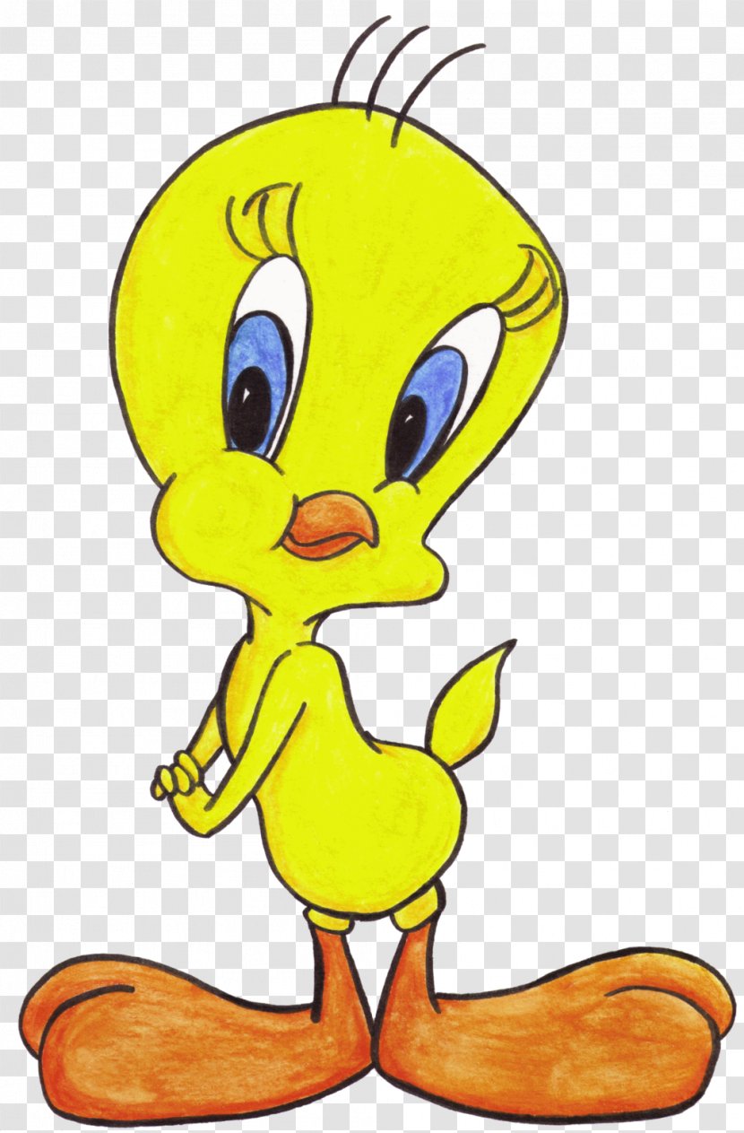 Tweety Fred Flintstone Barney Rubble Betty Sylvester - Plant - Bird Cartoon Transparent PNG