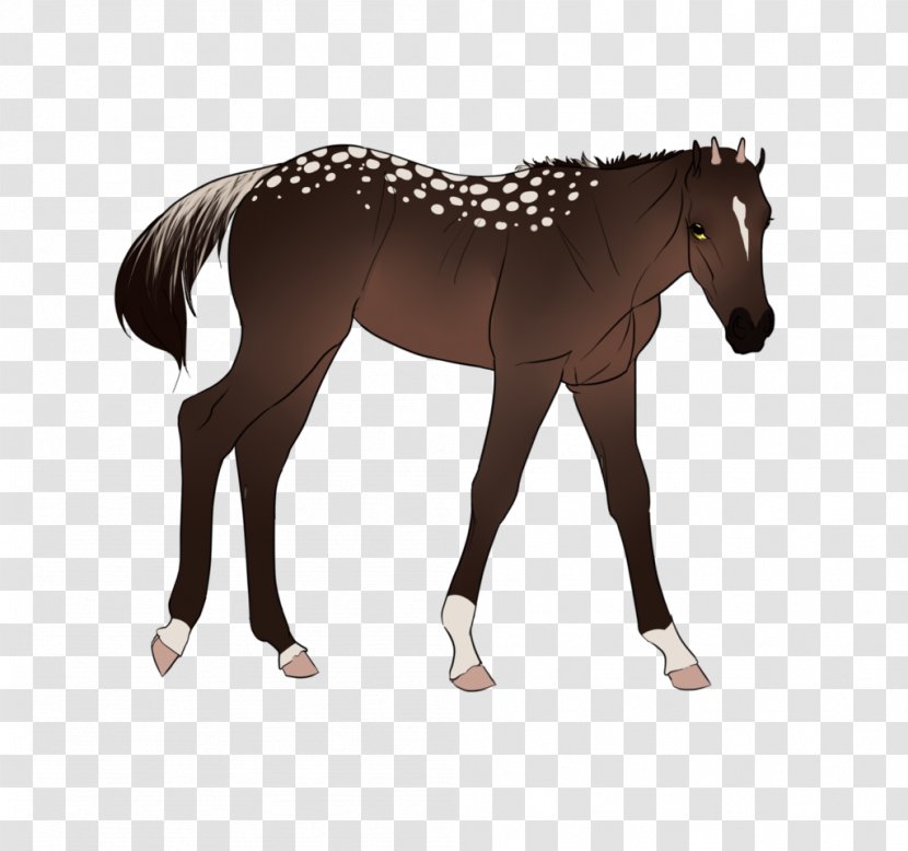 Mane Mustang Stallion Foal Colt - Horse Like Mammal Transparent PNG