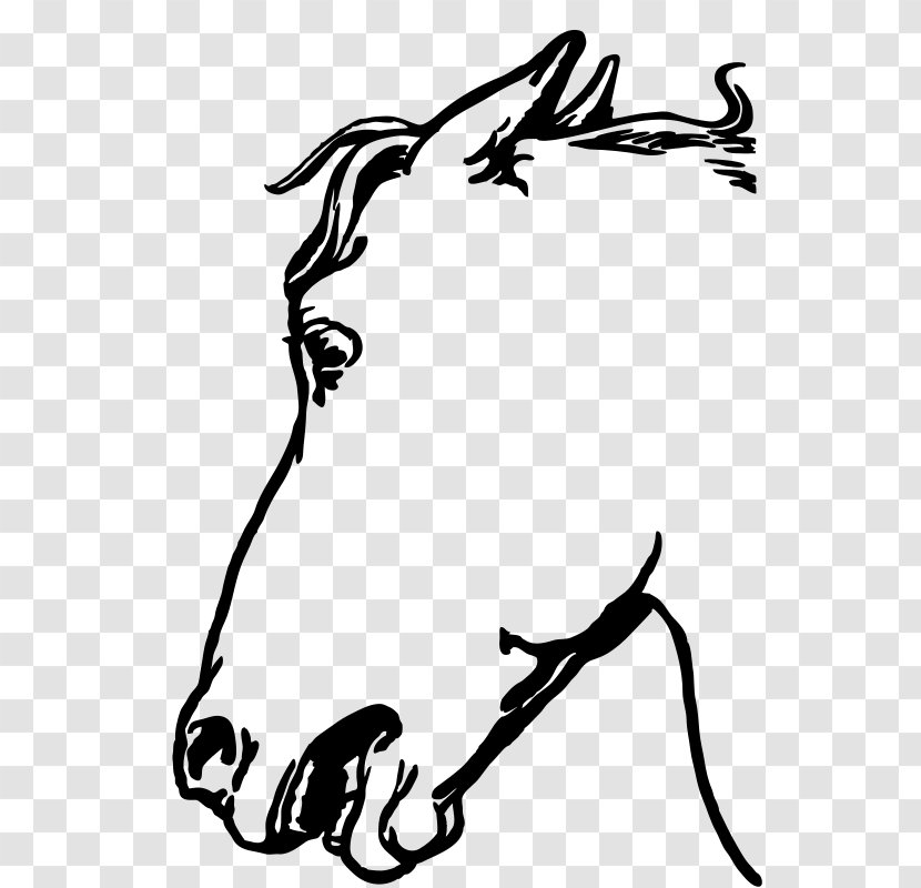 Arabian Horse Cat Head Mask Clip Art - Artwork - Other Vector Transparent PNG