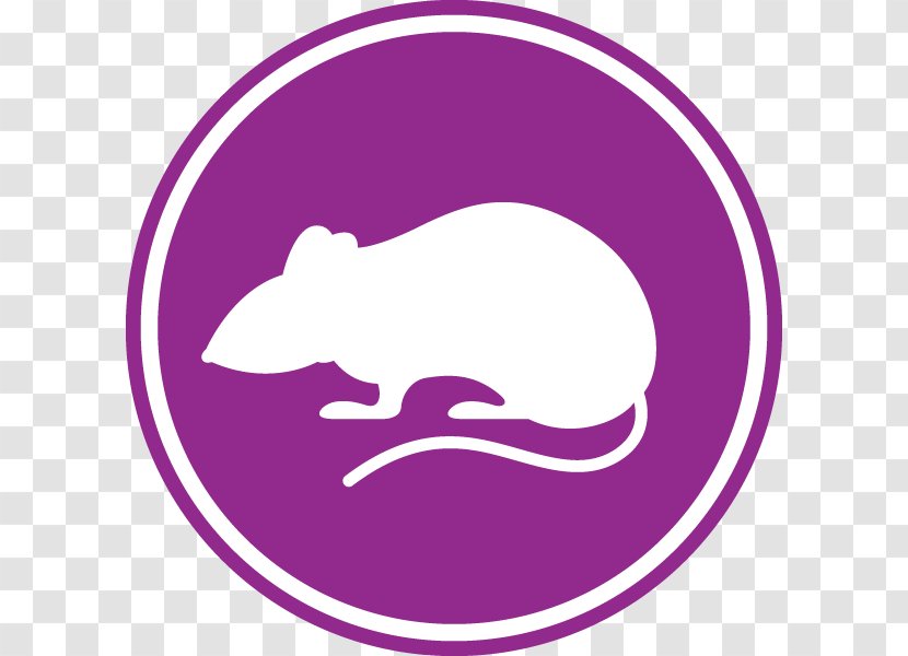 Rat Mouse Pest Control Rodent - Insect - Steamed Bread Slice Transparent PNG