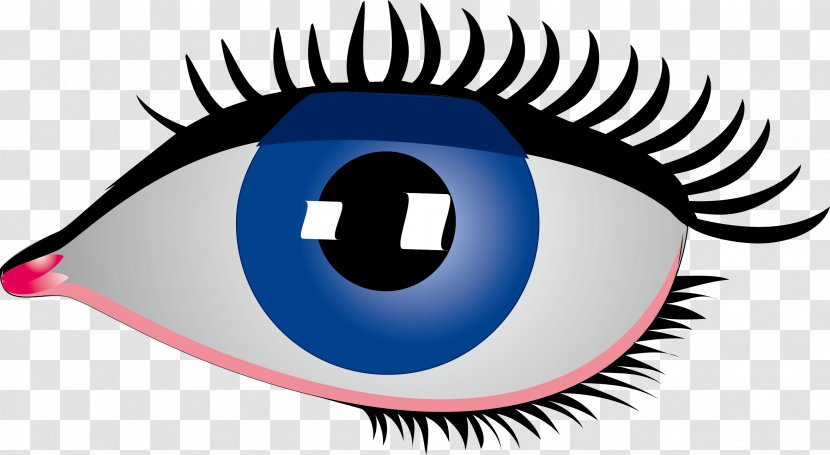 Eye Rebus Clip Art - Flower - Simple Cartoon Big Blue Eyes Transparent PNG