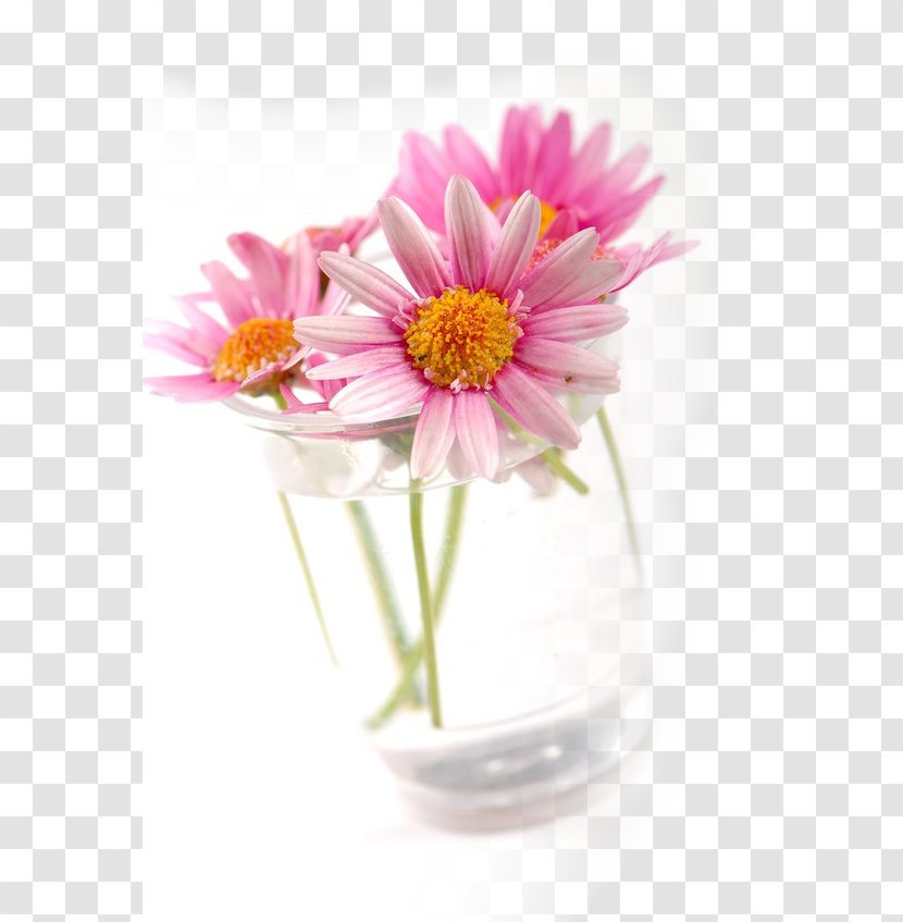 Transvaal Daisy Chrysanthemum Floral Design Argyranthemum Frutescens Cut Flowers - Vase Transparent PNG