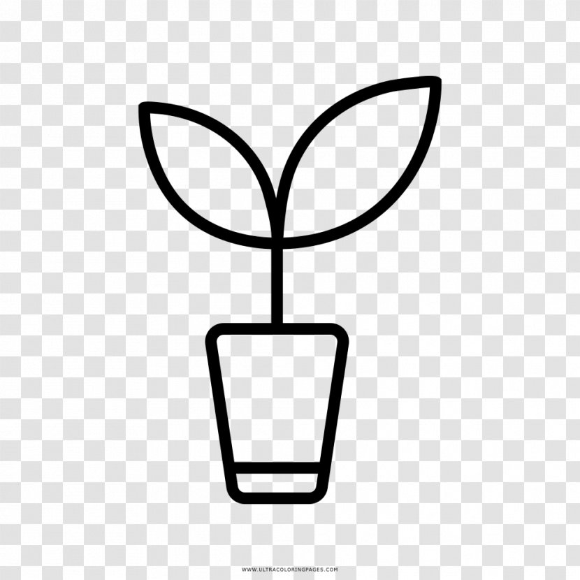 Coloring Book Drawing Black And White Plant Clip Art - Tree - Ervas Transparent PNG