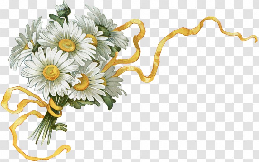 Chrysanthemum Oxeye Daisy Floral Design Cut Flowers - Bouquet Transparent PNG