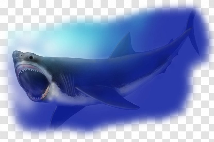 Megalodon Hungry Shark World Requiem Sharks Tomb Of Annihilation - Podcast Transparent PNG