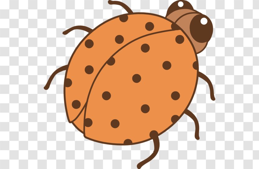 Color Ladybird Beetle Orange Clip Art - Snout - Lady Bug Transparent PNG