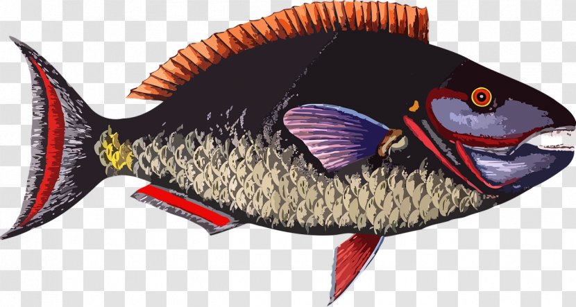 Fried Fish Animal Clip Art - Bony Transparent PNG