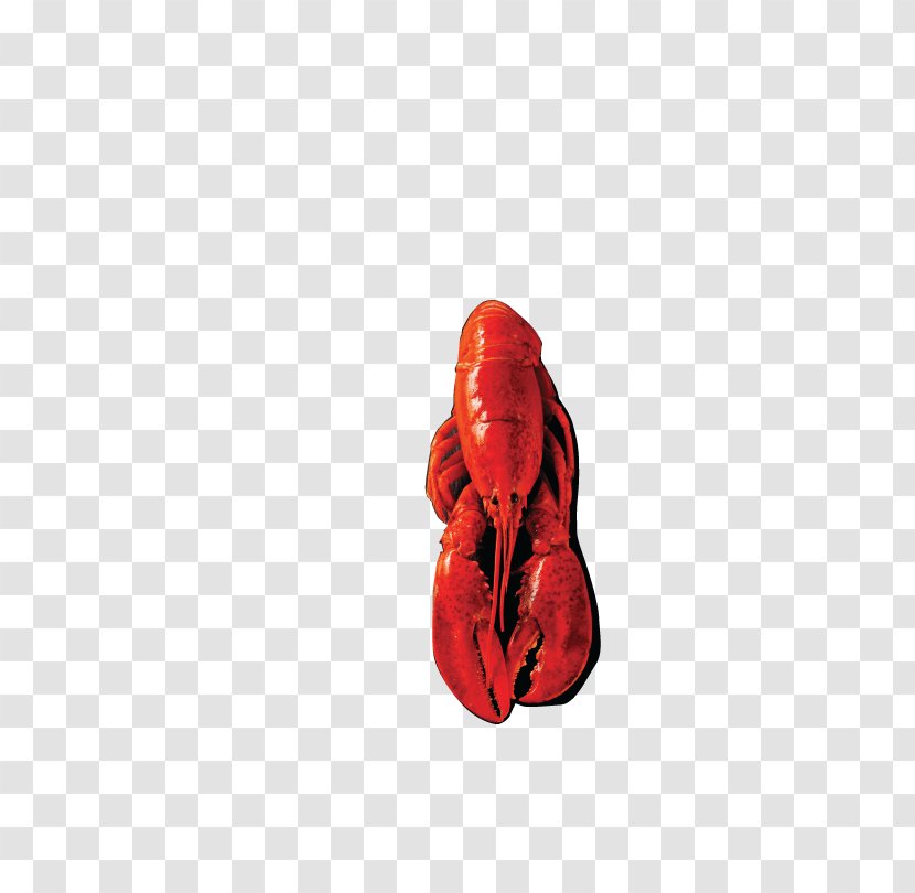 Red Shoe - Picture Of A Lobster Transparent PNG