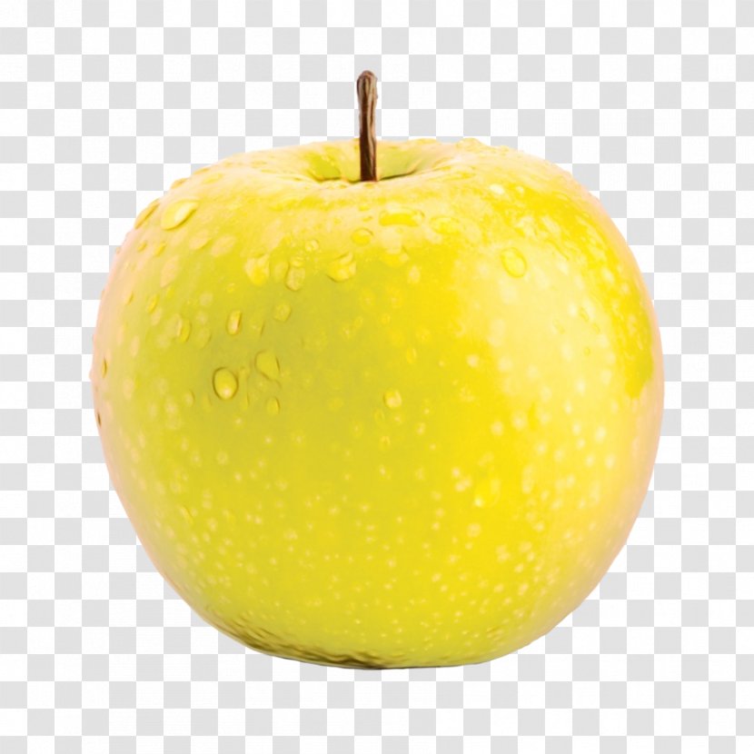 Apple Granny Smith Fruit Yellow Food - Malus Rose Family Transparent PNG