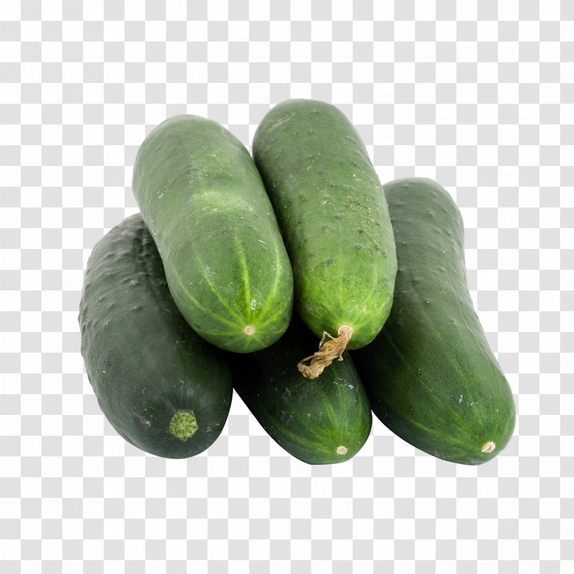 Cucumber Vegetable Seed Fruit Food - Gourd Order Transparent PNG