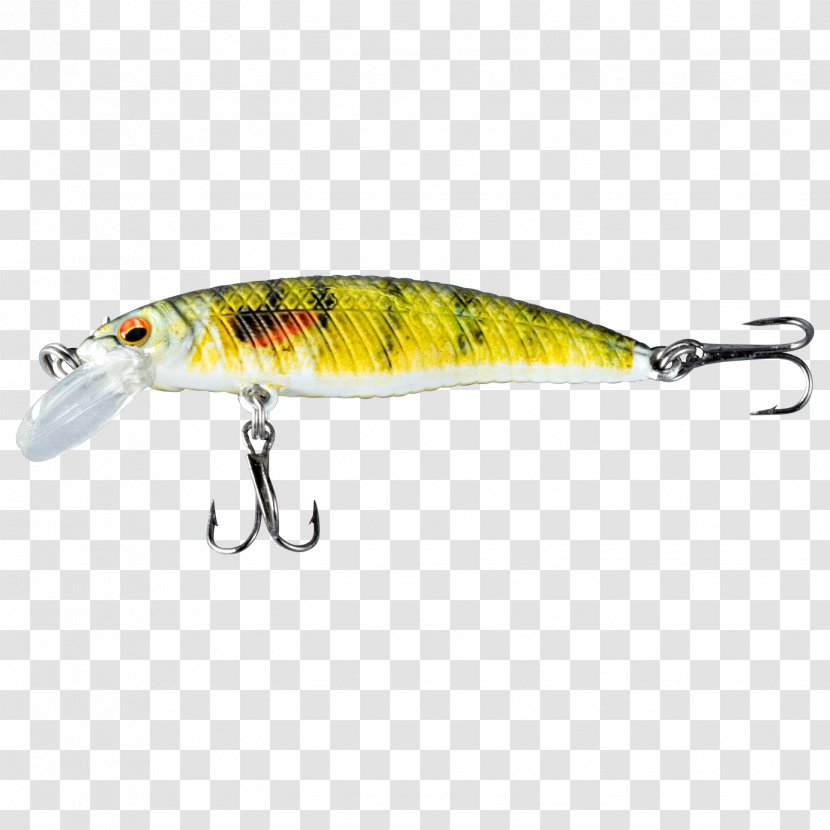 Spoon Lure Perch Osmeriformes Fish AC Power Plugs And Sockets - Bait Transparent PNG