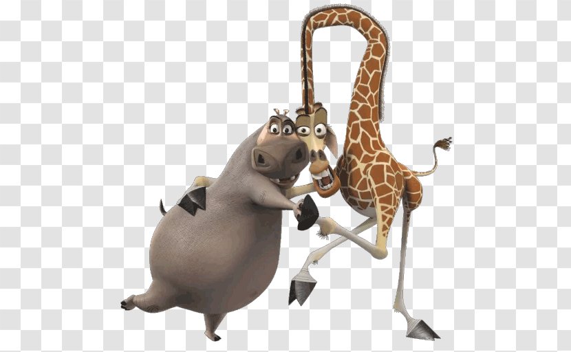 Gloria Melman Alex Madagascar Julien - Dreamworks Animation - Giraffe Transparent PNG