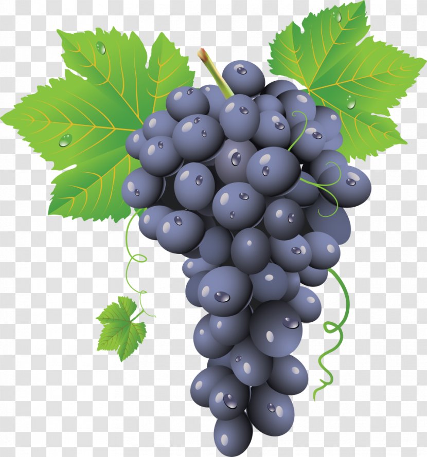 Common Grape Vine Red Wine - Grapevine Family - Cauliflower Transparent PNG