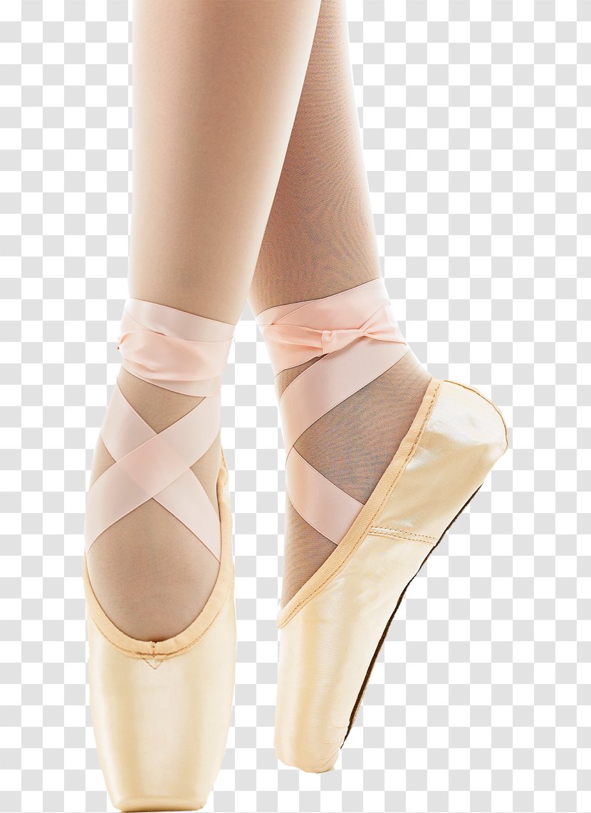 Ballet Shoe Dance - Tree - Shoes Transparent PNG