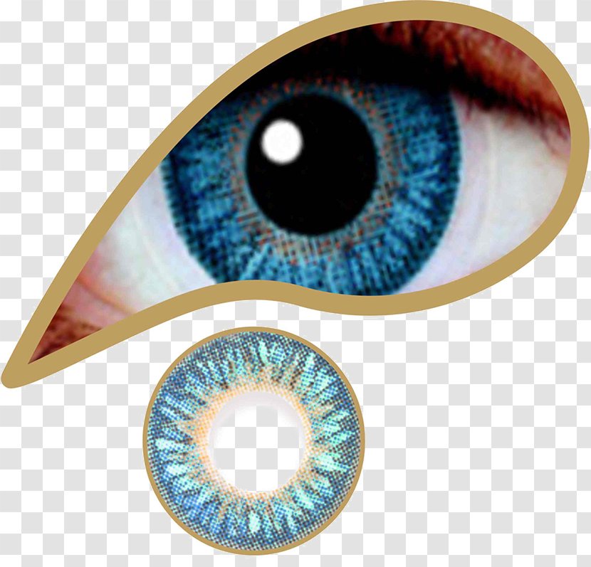 Contact Lenses Brown Circle Lens Eye - Iris Transparent PNG