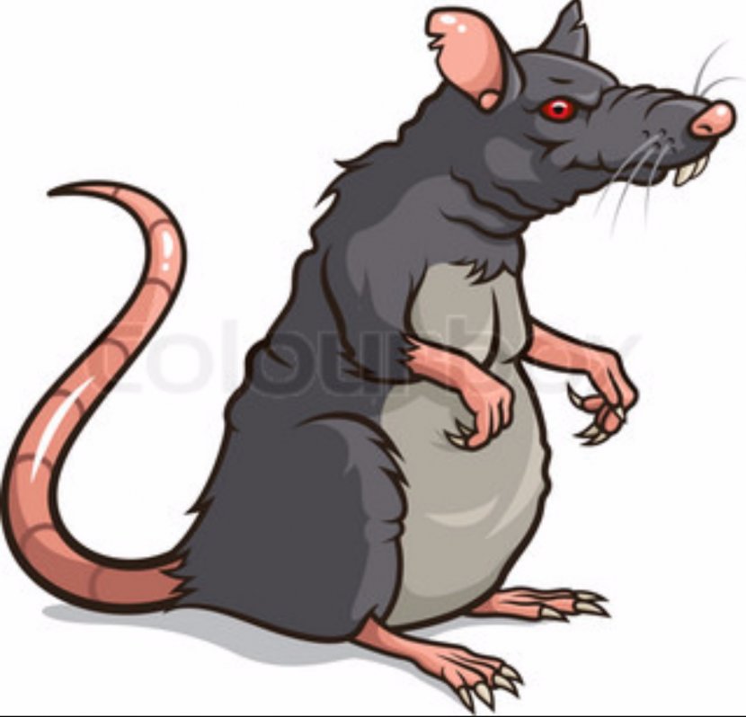 Rat Mouse Rodent Cartoon - Pest Transparent PNG