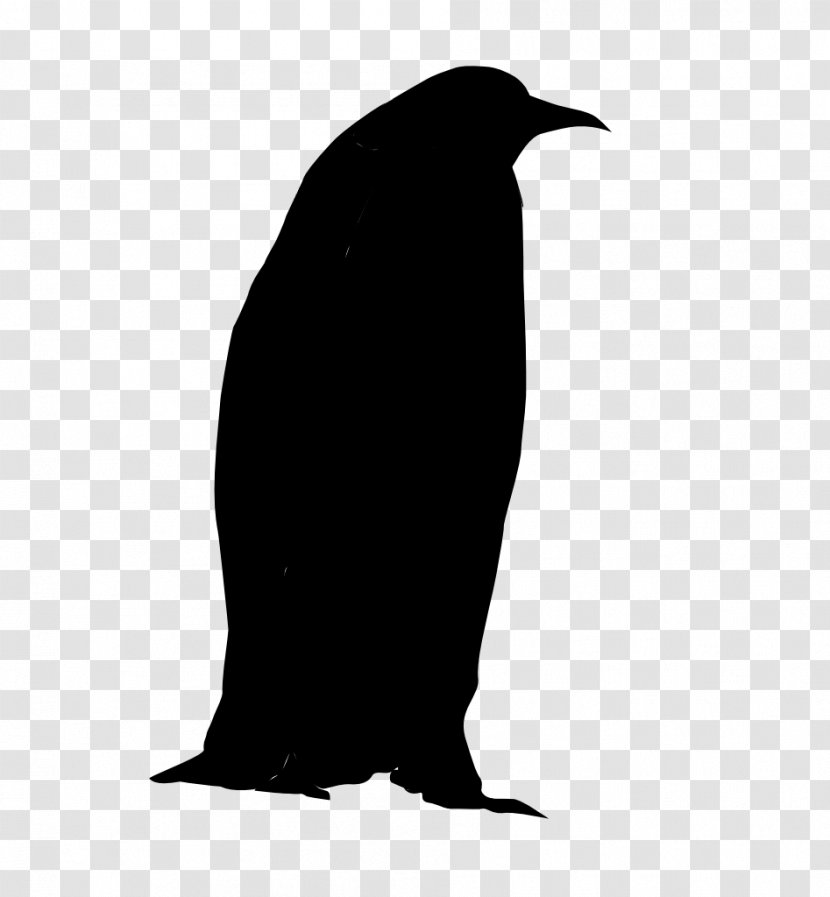 Penguin Fauna Silhouette Beak - Bird Transparent PNG