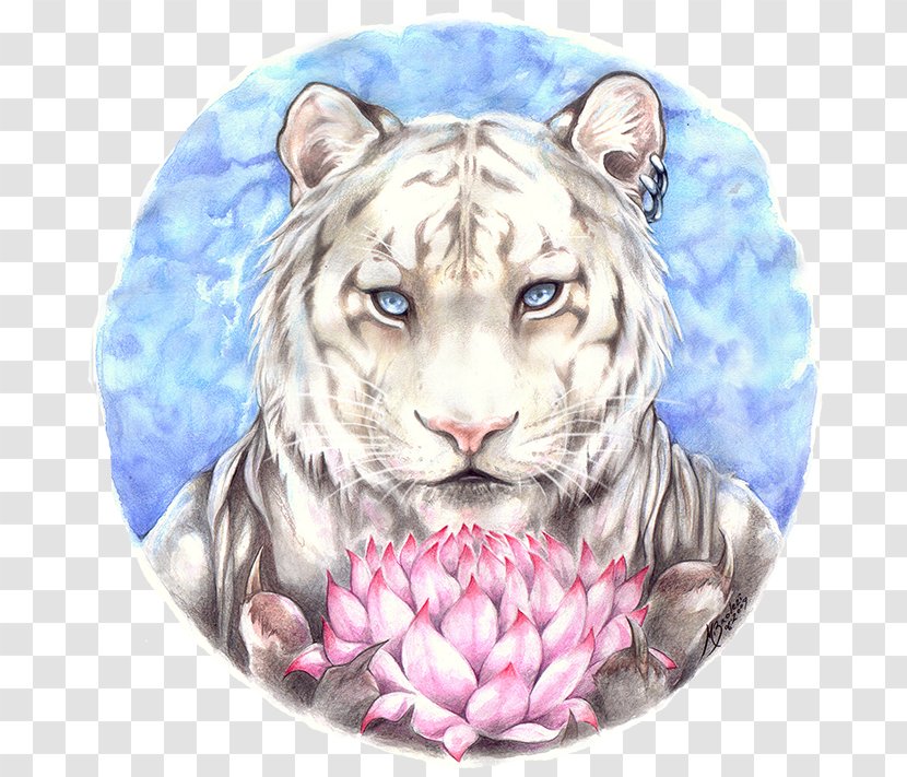 Tiger Systemic Lupus Erythematosus DeviantArt - Big Cats - Traditional Lotus Flower Plum Blossom Background Transparent PNG